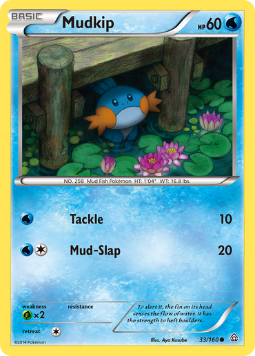 Mudkip (33/160) [XY: Primal Clash]