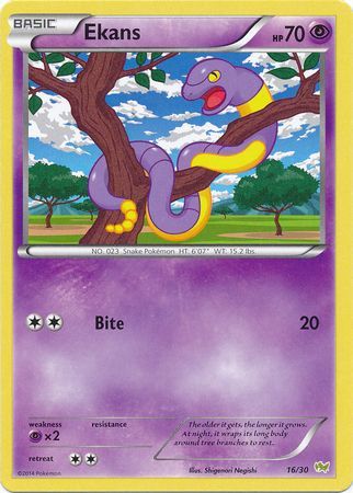 Ekans (16/30) [XY: Trainer Kit - Noivern]